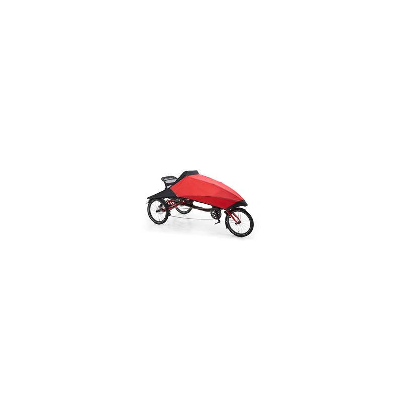 Tricycle Delta Trigo E – Trike électrique confortable et modulable | Hase Bikes