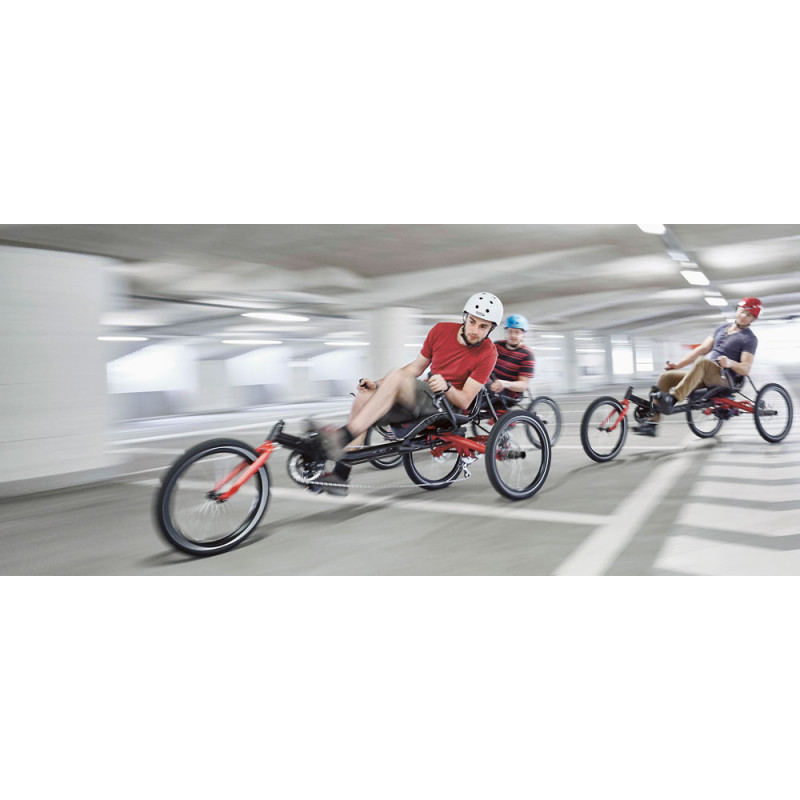 Tricycle Delta Trigo E – Trike électrique confortable et modulable | Hase Bikes