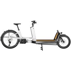 Vélo Cargo Bergamont LJ Edition - Transport robuste et pratique pour tous vos besoins