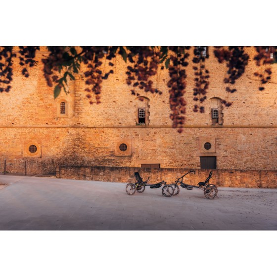Kettwiesel ONE Plus Hase Bikes : tricycle adulte électrique confortable et performant.