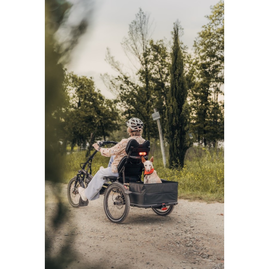 Kettwiesel ONE UP Plus Hase Bikes : tricycle adulte électrique tout confort.
